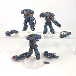 Primaris inceptors
