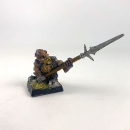 Dwarf Warrior