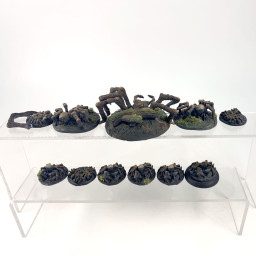 Aragog and his Children