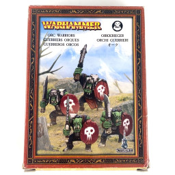 x4 orcs warriors box