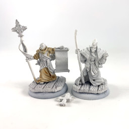 Protectorate War Priest &...