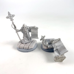 Protectorate Choir Acolytes