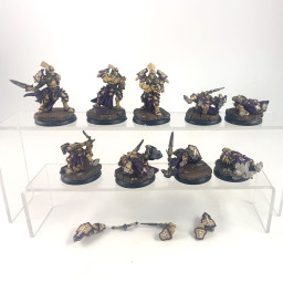 Exemplar Errants incomplet