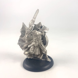 High Paladin Dartan Vilmon