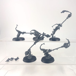 Fanatiques Sporuleurs