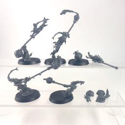 Sporesplatta Fanatics