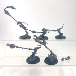 Fanatiques Sporuleurs