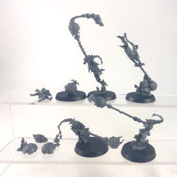 Fanatiques Sporuleurs