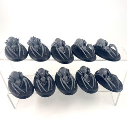 Chevaucheurs d'araignées