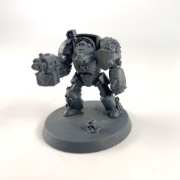 Firstborn terminator