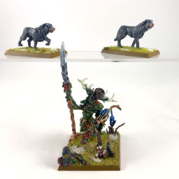 Orion king in the woods