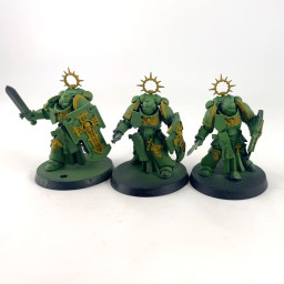 Vétérans Bladeguard