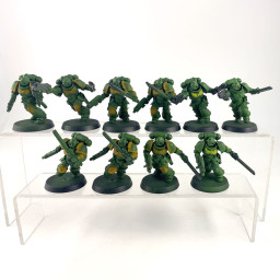 Intercessor d'assaut