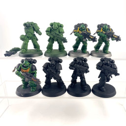 Primaris intercessors
