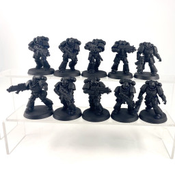 Primaris intercessors