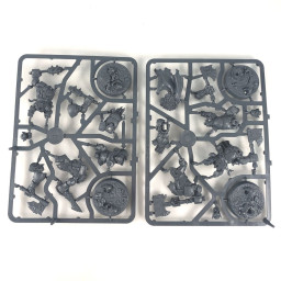 Shadespire – Ironskull’s Boyz