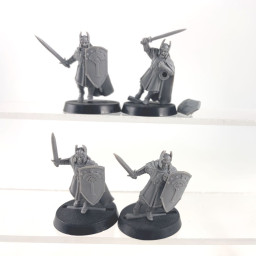 Guerriers de Minas Tirith