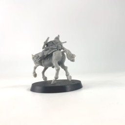 Riders of Rohan