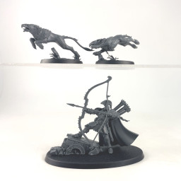 Knight-Judicator with Gryph Hounds