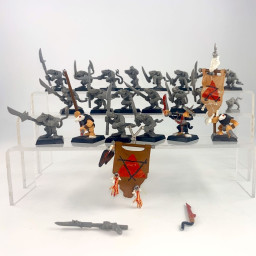 Rats des Clans Ancien 