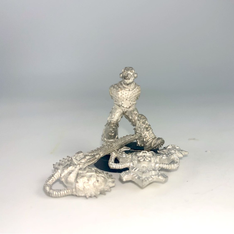 Noise marines incomplet