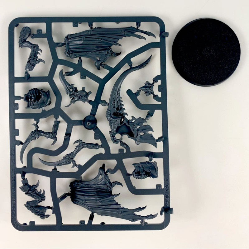 Winged Tyranid Prime