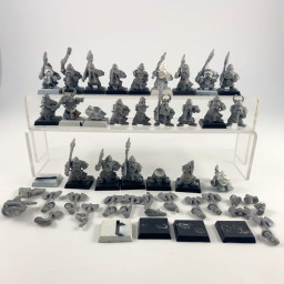 Dwarfs warriors