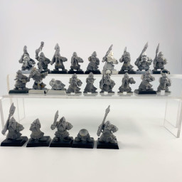 Dwarfs warriors