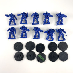 Primaris intercessors