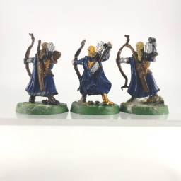 Lothlorien warriors