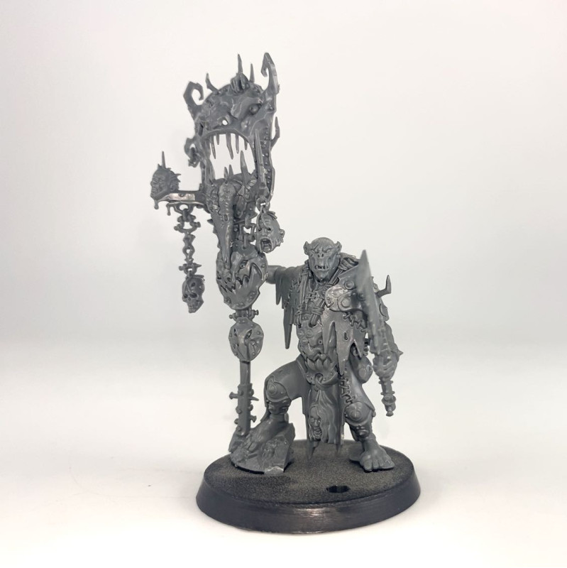 Nobskur avec Rotétendard