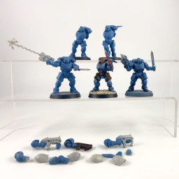 Primaris reivers