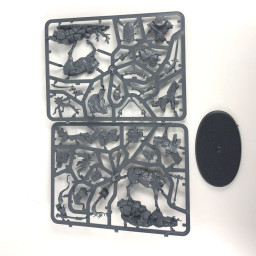 Maréchal-cavalier des...