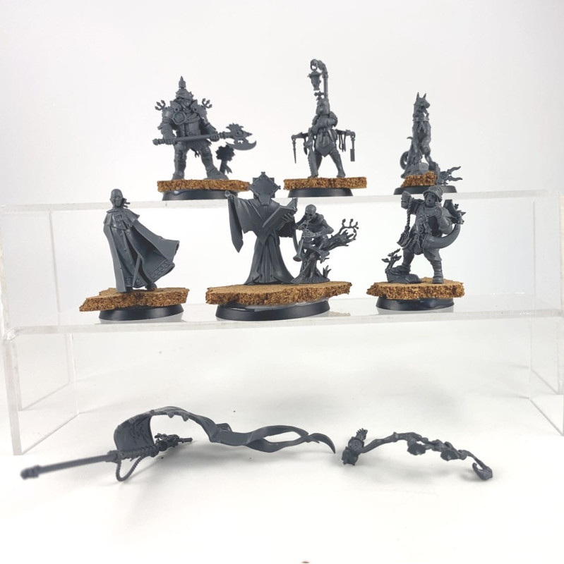 Freeguild command corps incomplet