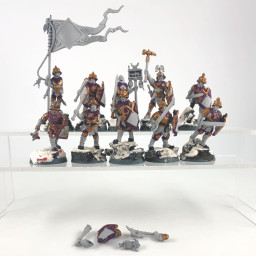 Freeguild Steelhelms