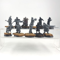 Freeguild Fusiliers