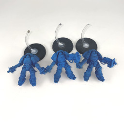 Primaris inceptors