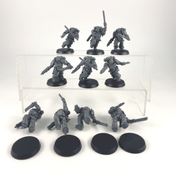 Assault intercessors