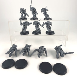 Assault intercessors