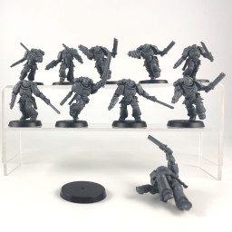 Intercessor d'assaut