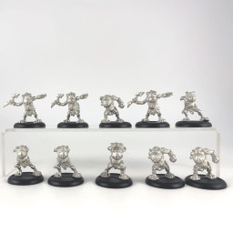 Croak Raiders incomplet