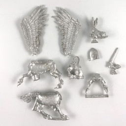 Lord with Sword and Shield on Pegasus