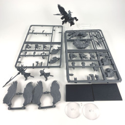 Chevaliers pégases incomplet