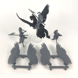 Chevaliers pégases incomplet