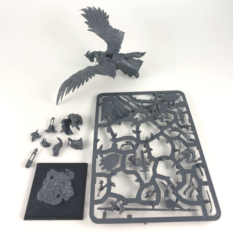 Seigneur sur Pégase Royal