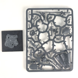 Lord on Royal Pegasus