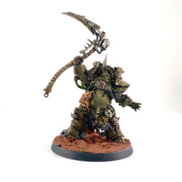 Typhus