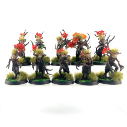 Sylvaneth Dryads