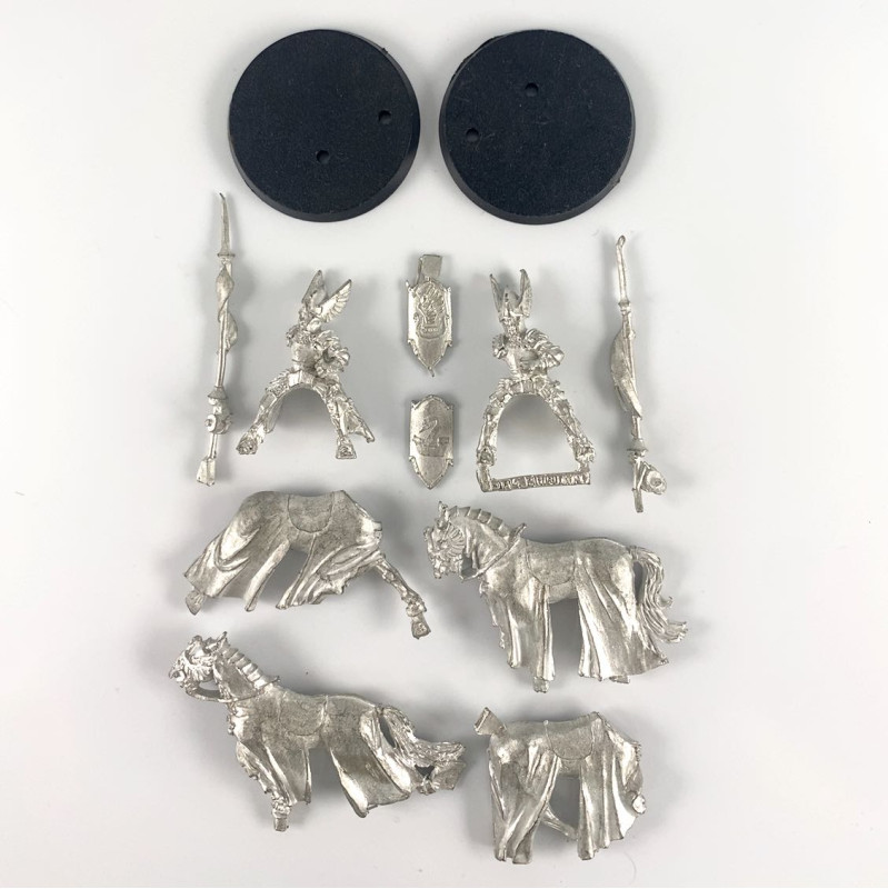 Chevaliers de Dol Amroth