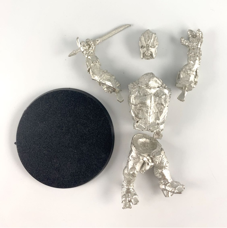 Chef troll du Mordor en armure